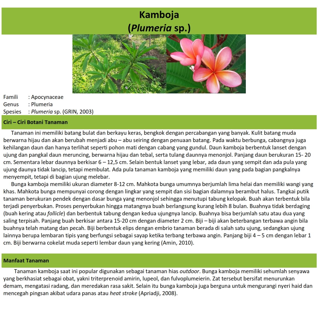 KAMBOJA – DINAS LINGKUNGAN HIDUP KAB. MAGETAN