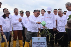 The Planting Eco Bamboo Park Magetan